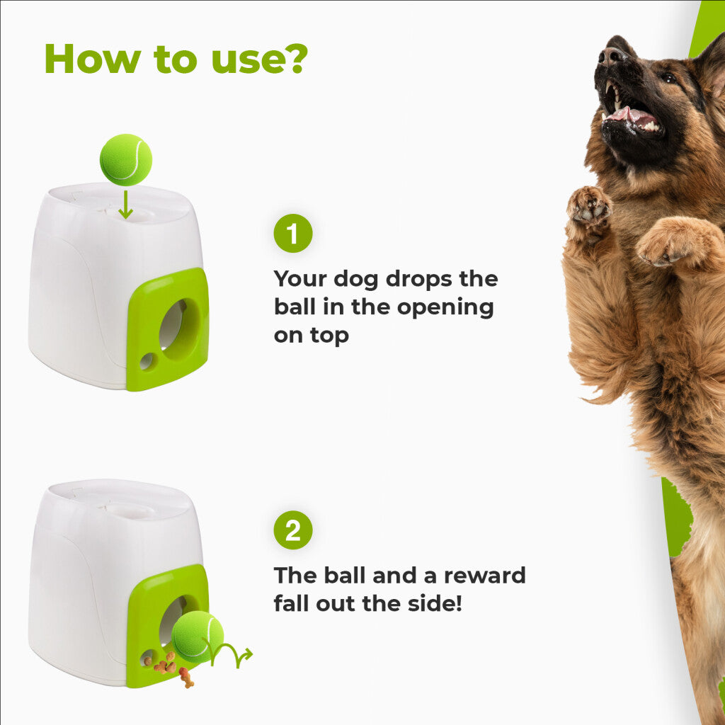 AFP Interactives Fetch'N'Treat Original