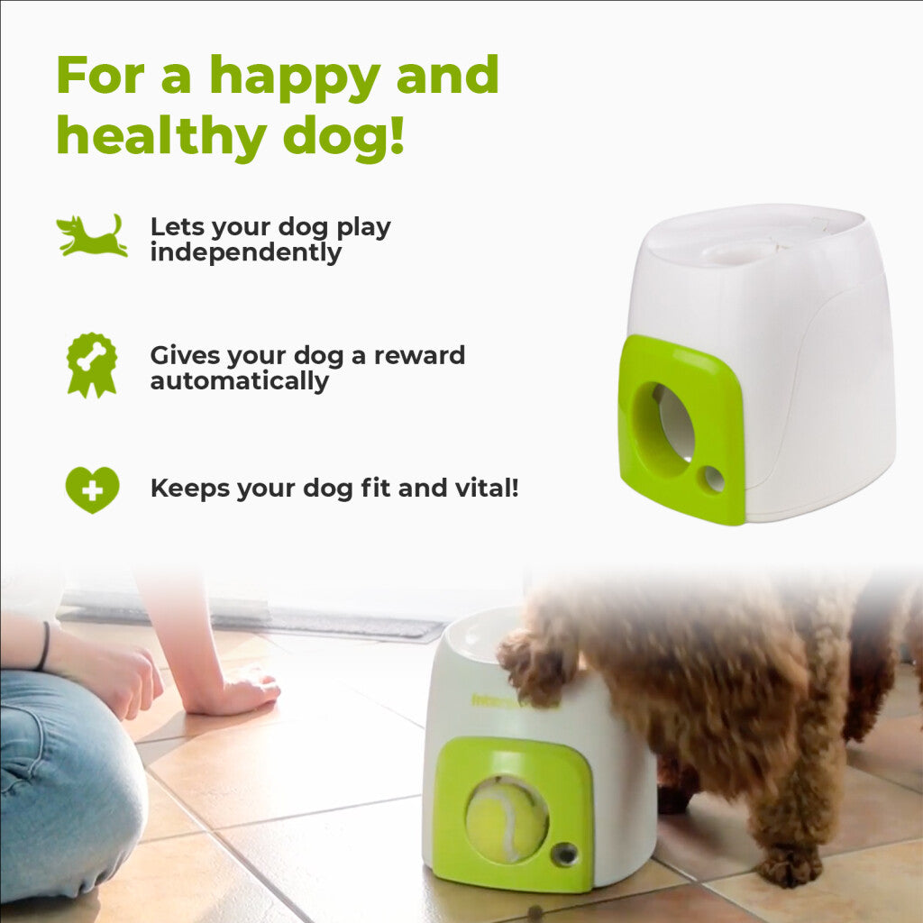 AFP Interactives Fetch'N'Treat Original