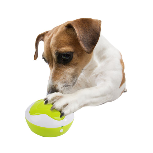 AFP Interactives - Dog Interpreter