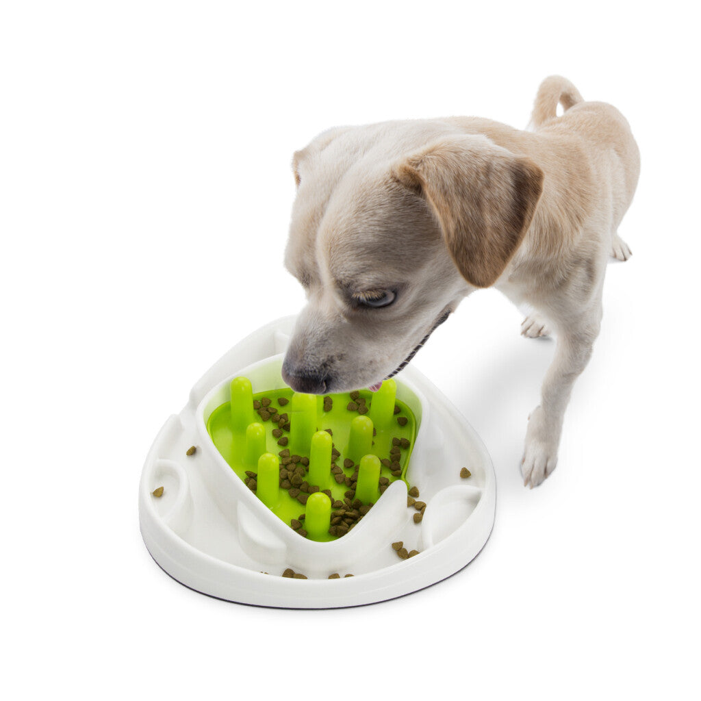 AFP Interactives - Food Maze