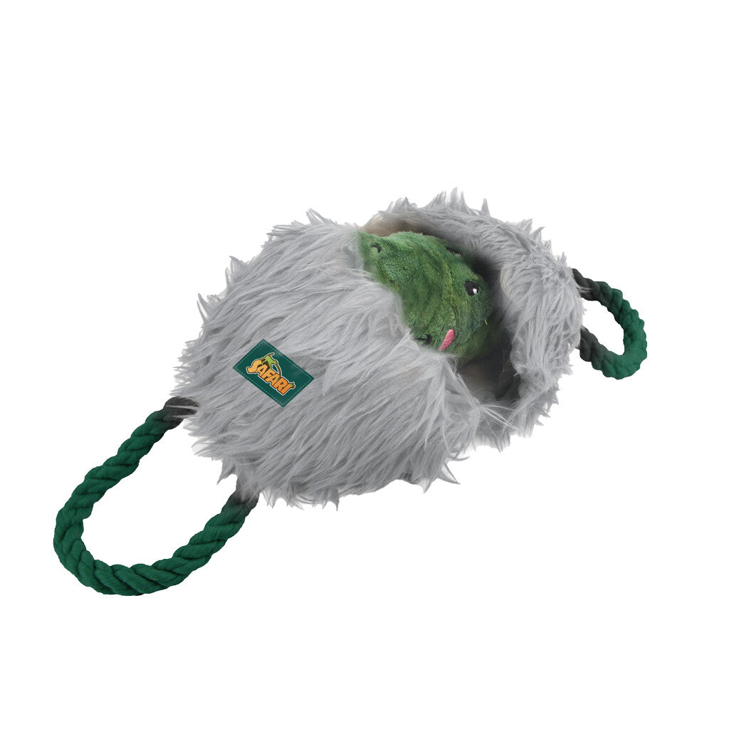 AFP Safari - Leave me Alone Alligator