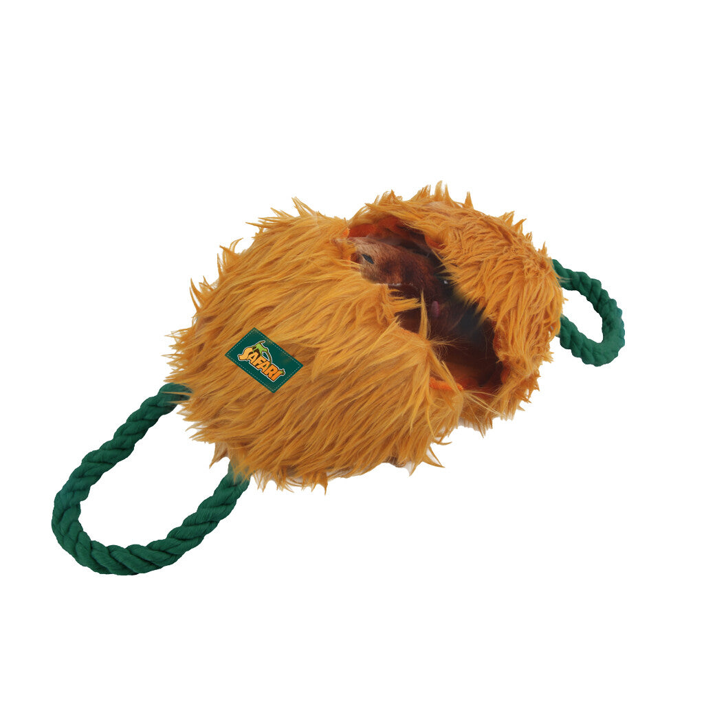 AFP Safari - Leave me Alone Schlange