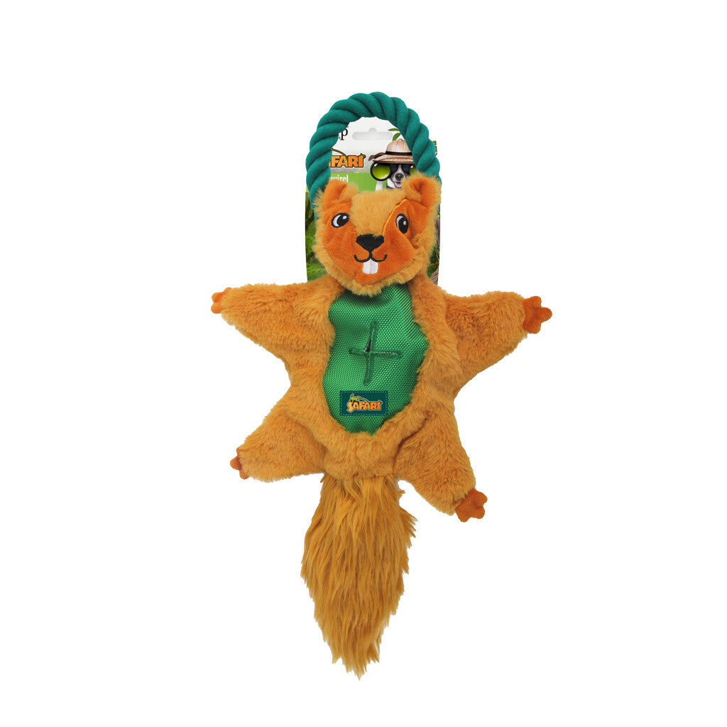 AFP Safari - Air Eichhörnchen