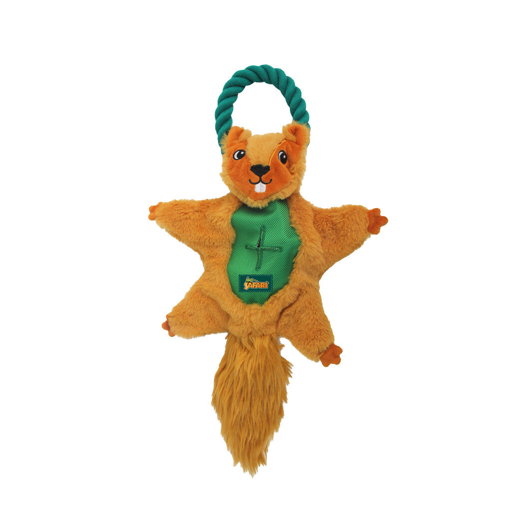 AFP Safari - Air Eichhörnchen