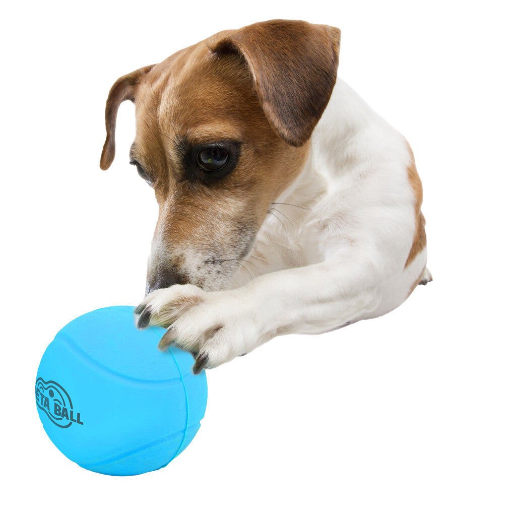 AFP Meta Ball - Bounce & Rattle Ball