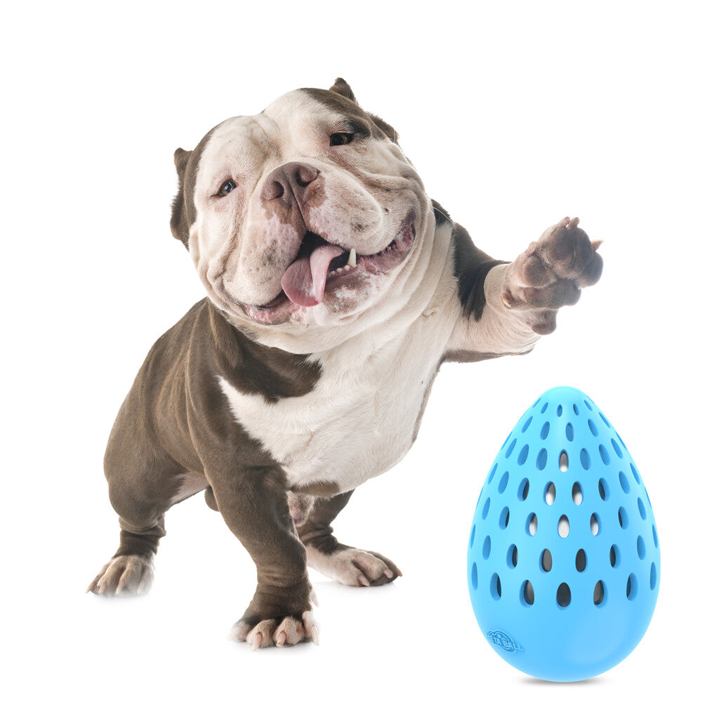 AFP Meta Ball - Holey Egg indestructible M