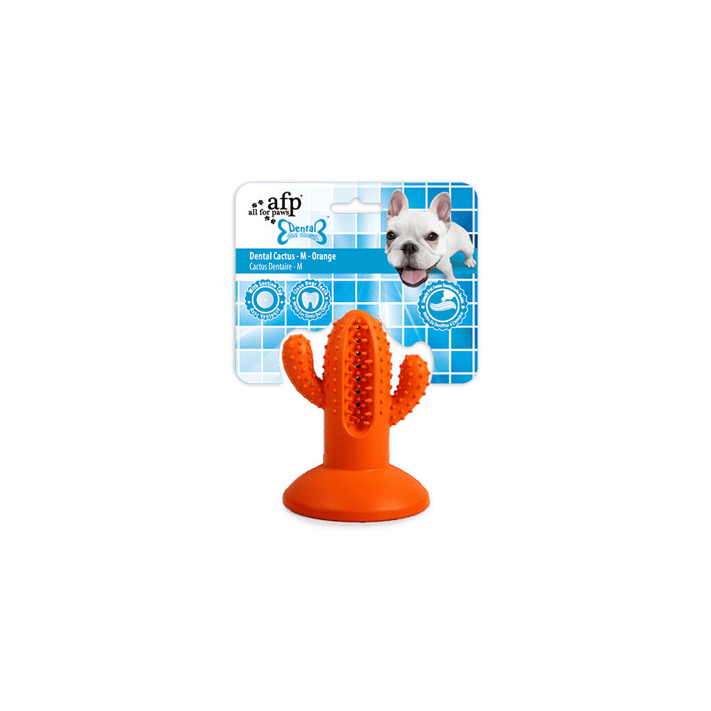 AFP Dental Chews - Dental Cactus M Orange
