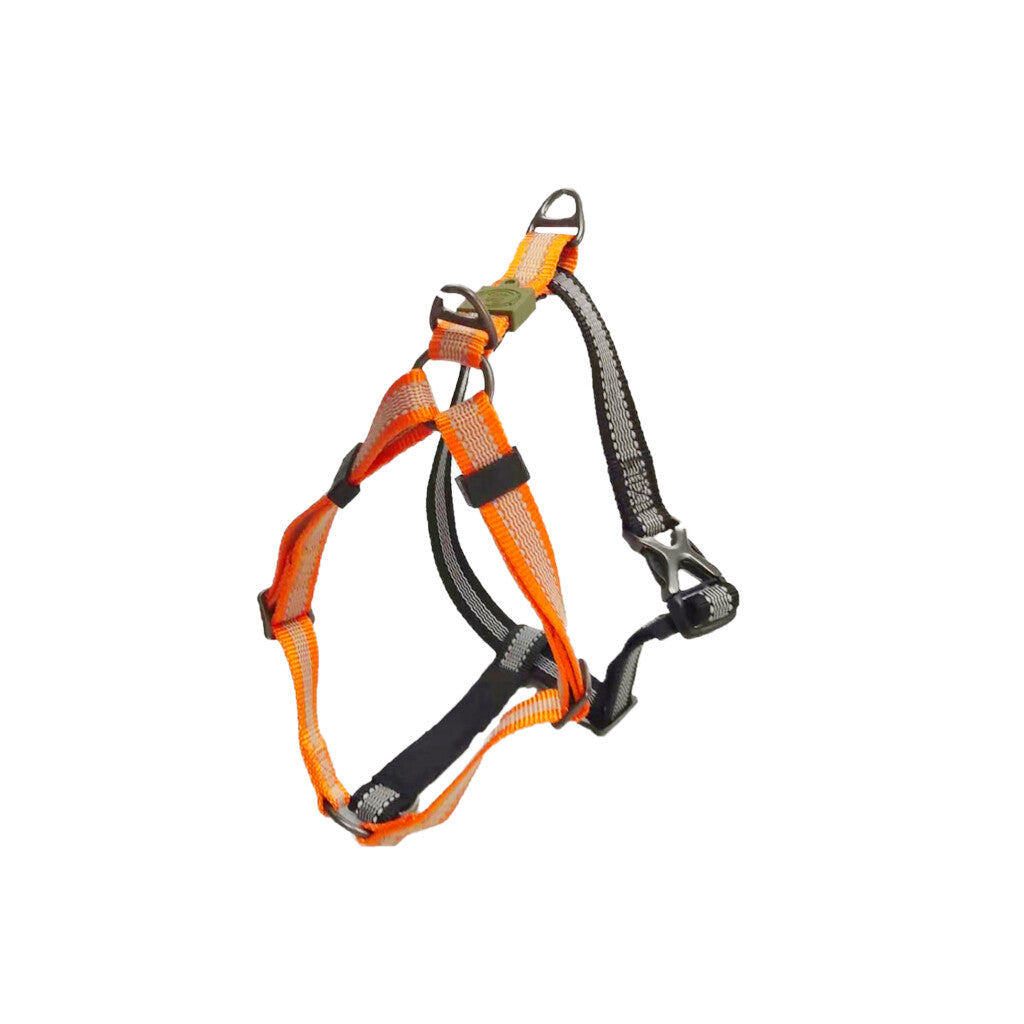 AFP Off Street - Dog Non-Pull Harness Mandarine XL