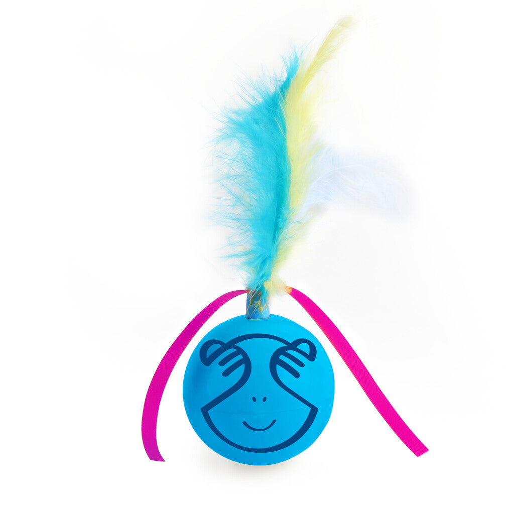 AFP Modern Cat Dizzy Spinner