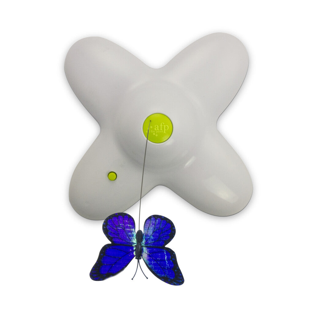 AFP Interactives - Flutter Bug