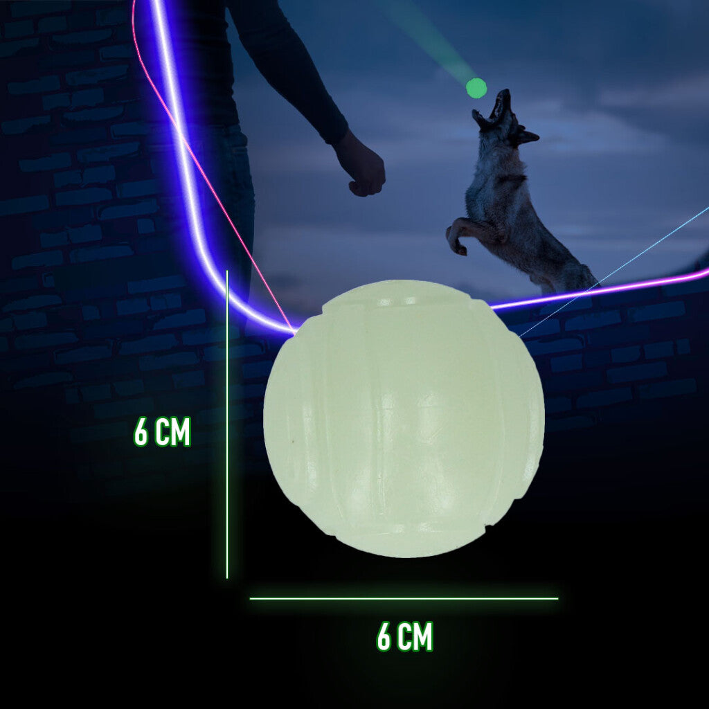 2 Glow Fetch & Play