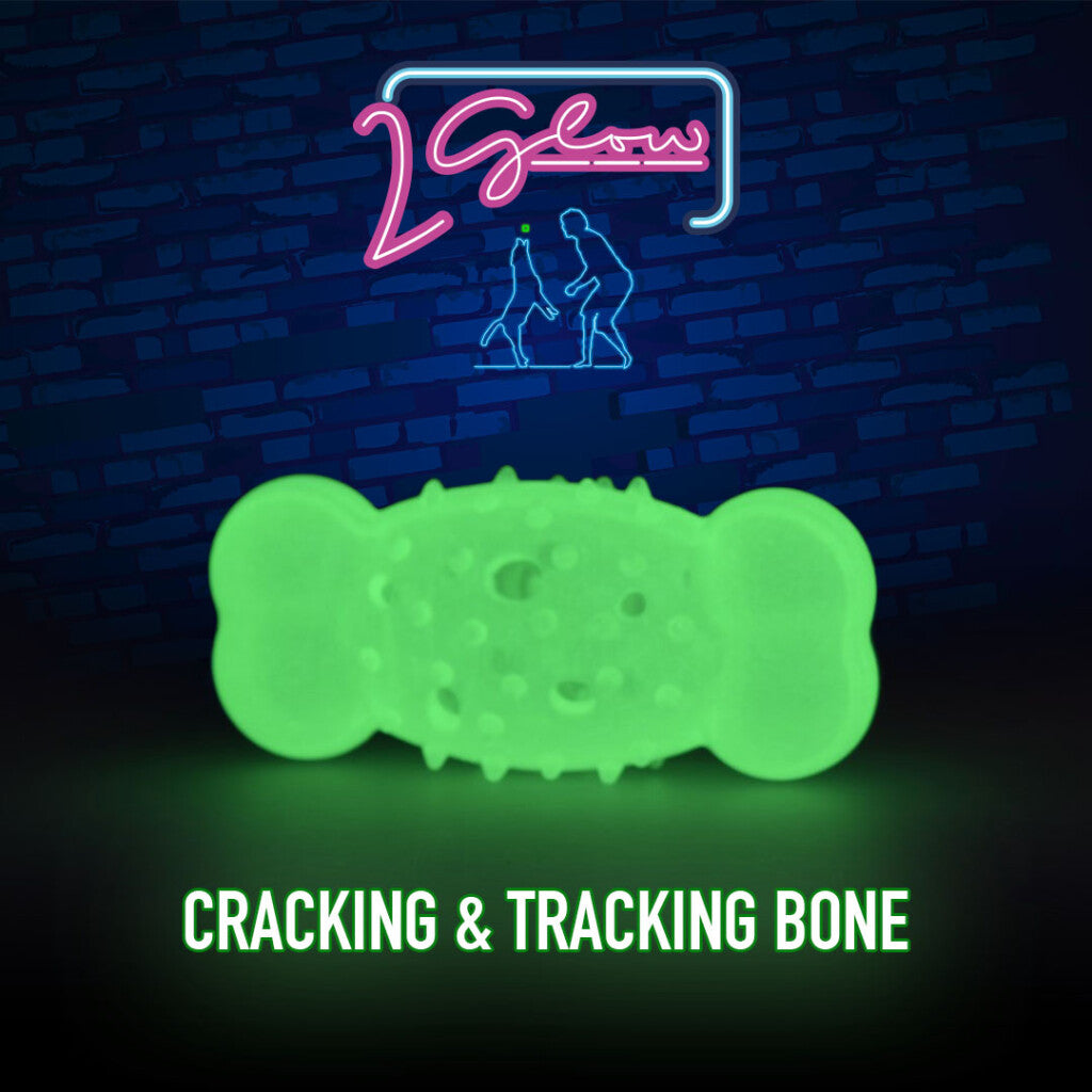 2 Glow Cracking & Tracking Bone