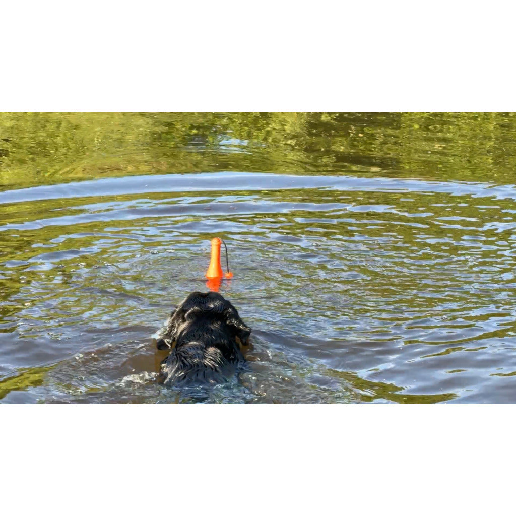 Dog Comets Bobber Grün