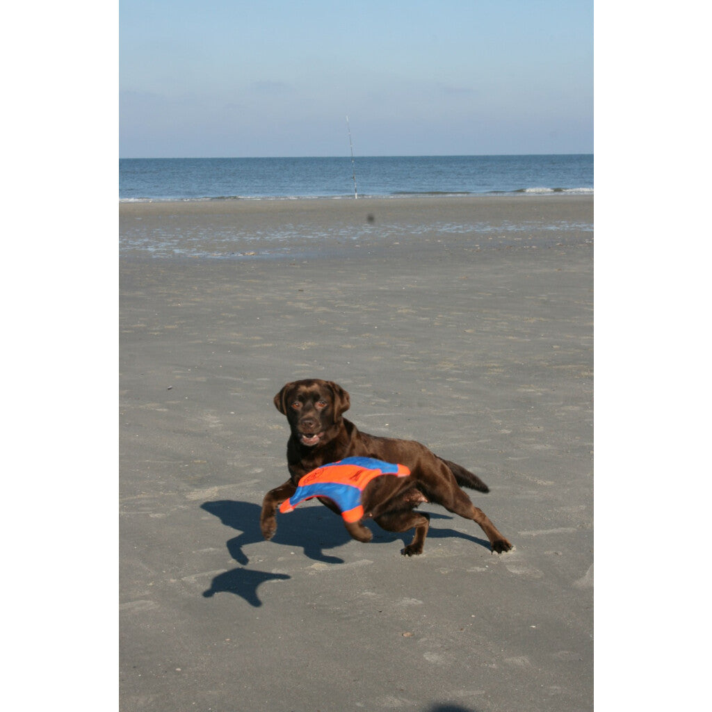 Chuckit! Flying Squirrel M