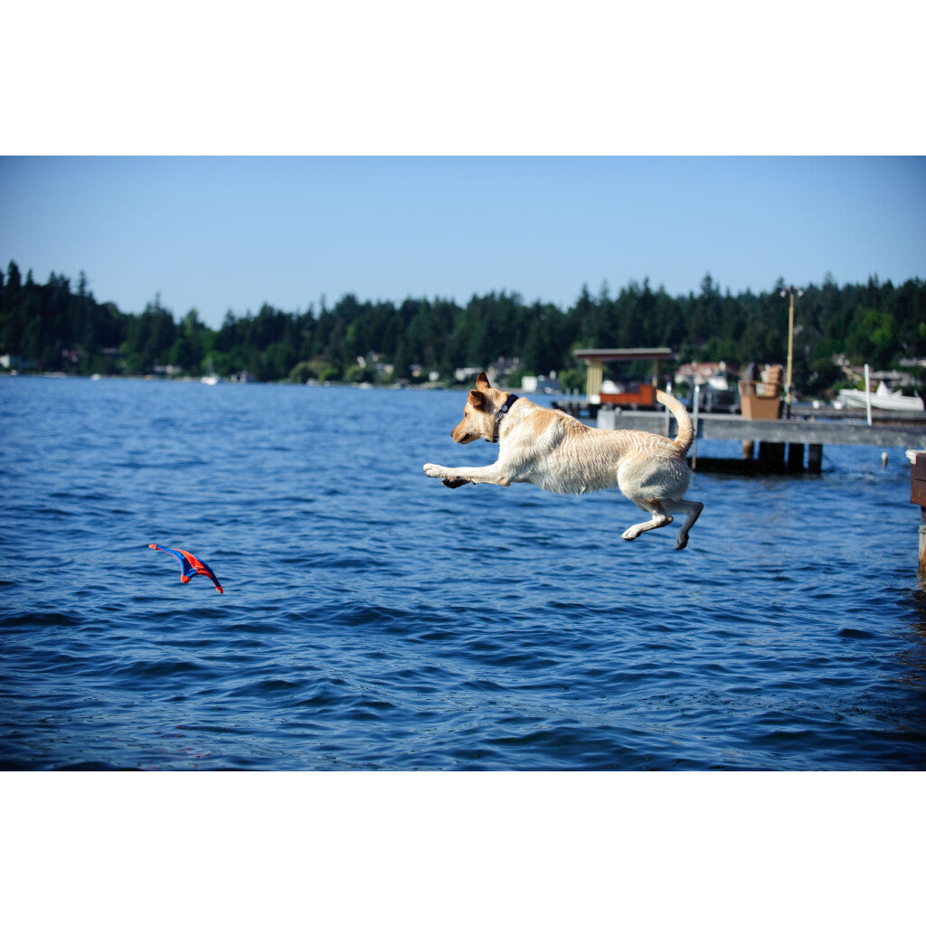 Chuckit! Flying Squirrel M