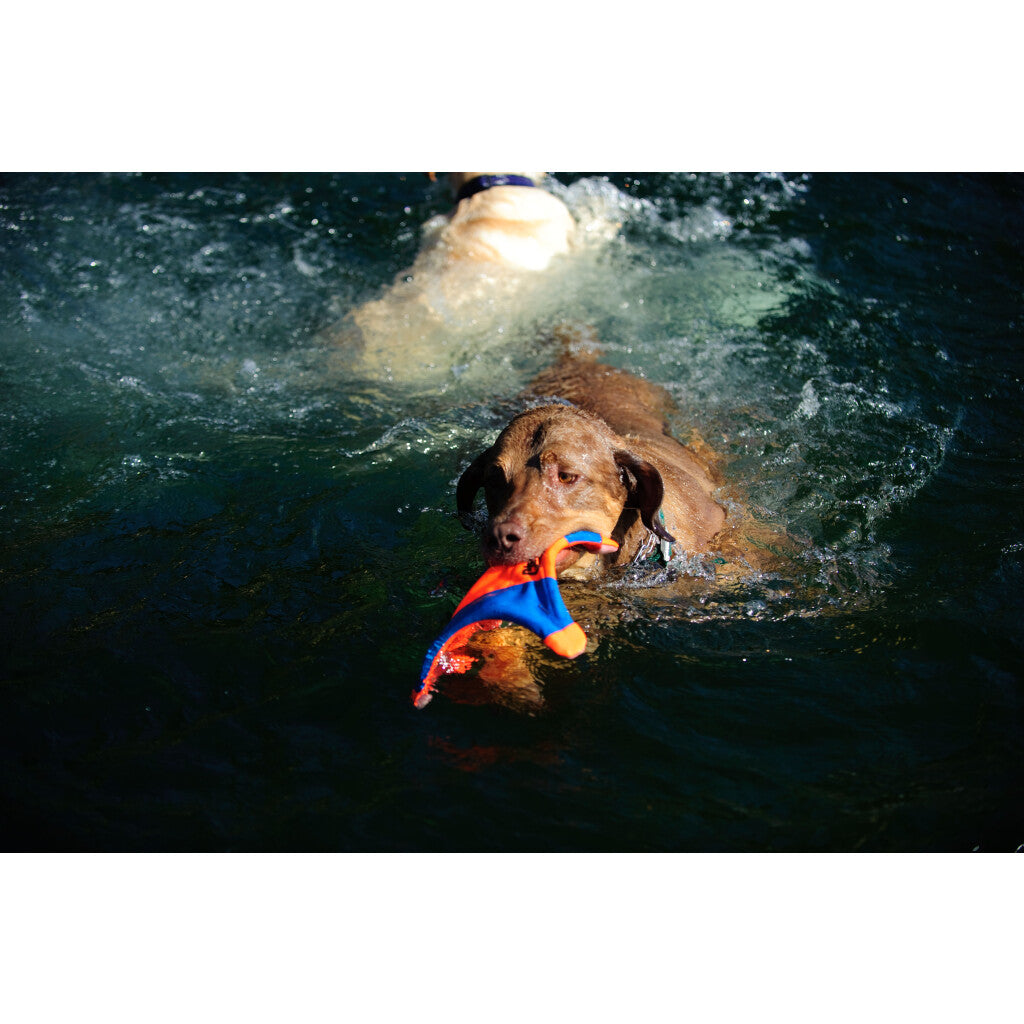 Chuckit! Flying Squirrel M