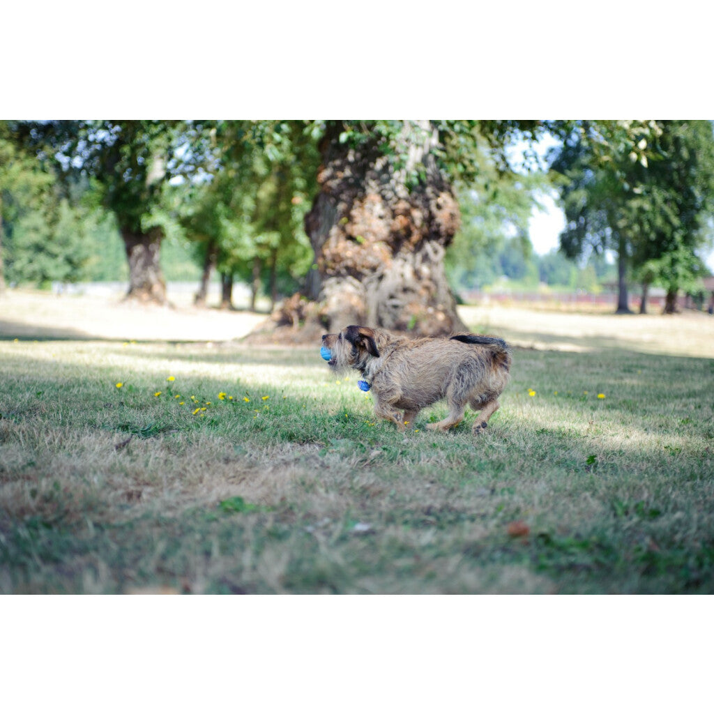 Chuckit! The Whistler S (2-pack)