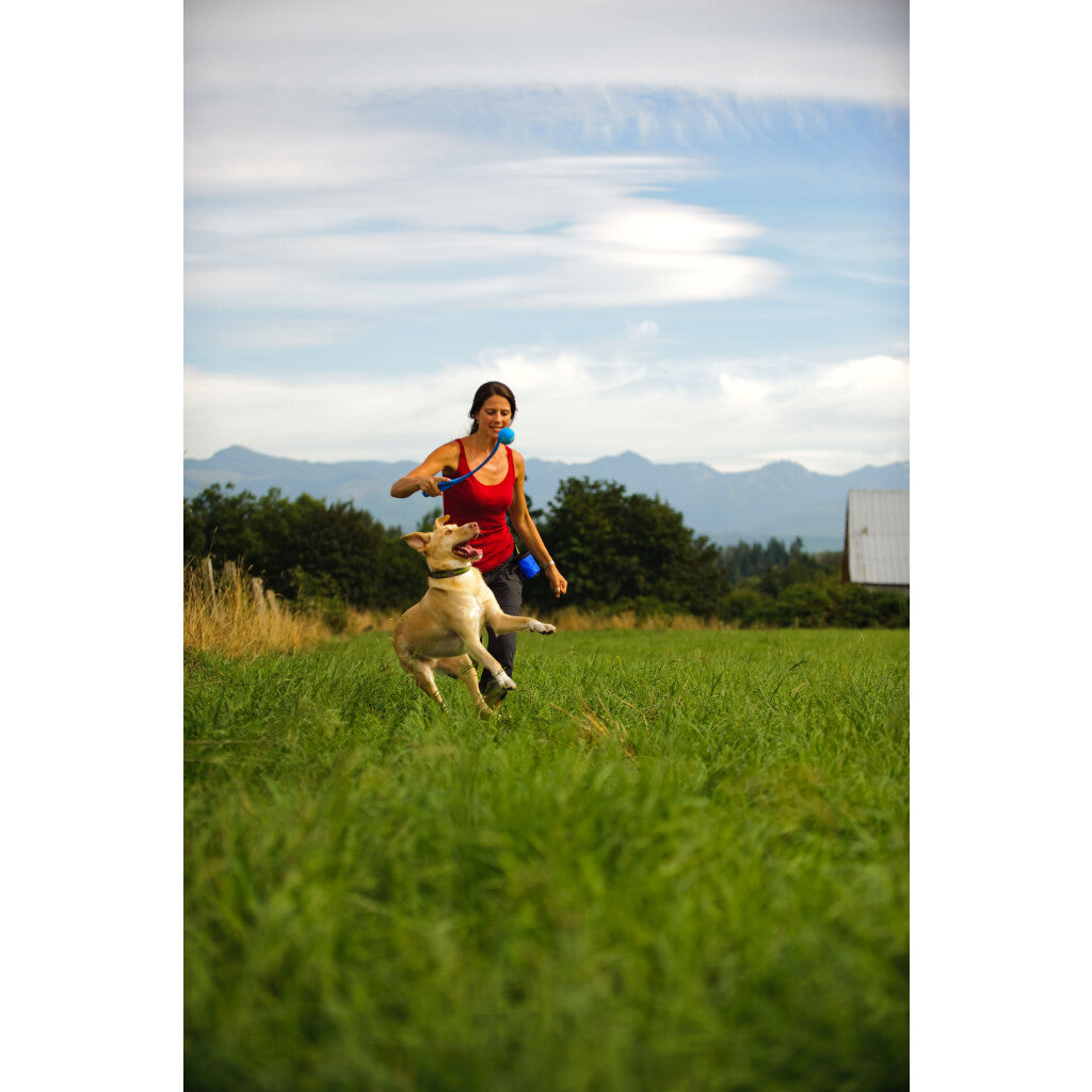 Chuckit! The Whistler S (2-pack)