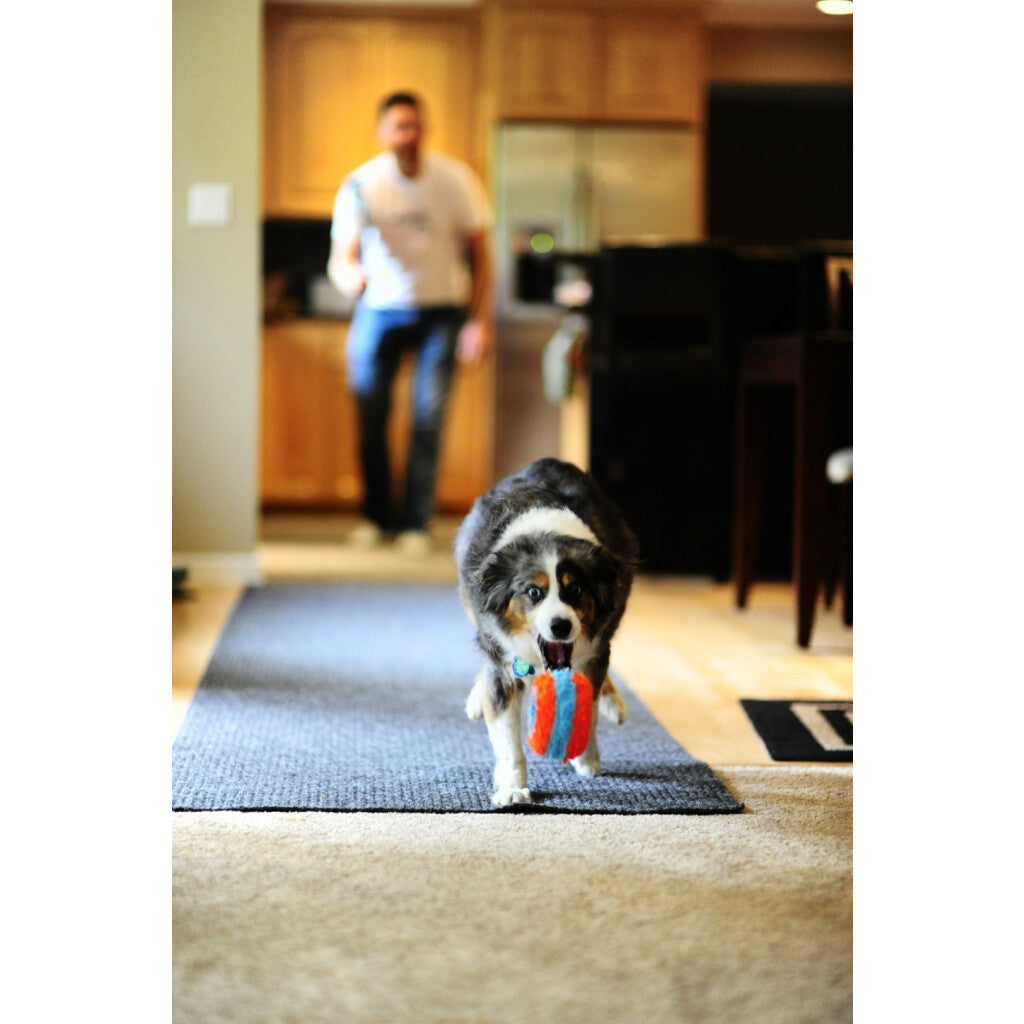 Chuckit! Indoor Roller