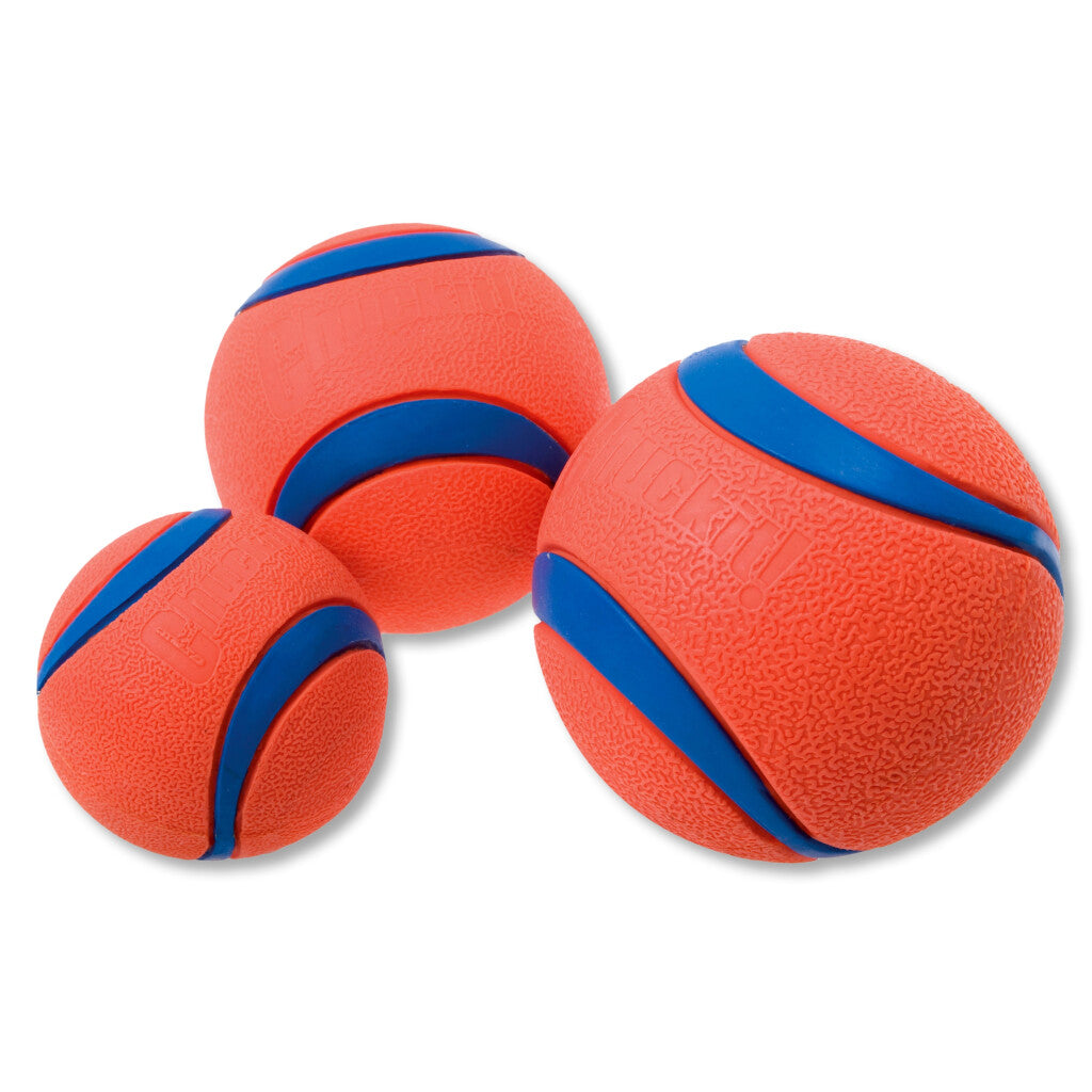 Chuckit! Ultra Ball M (2-pack)