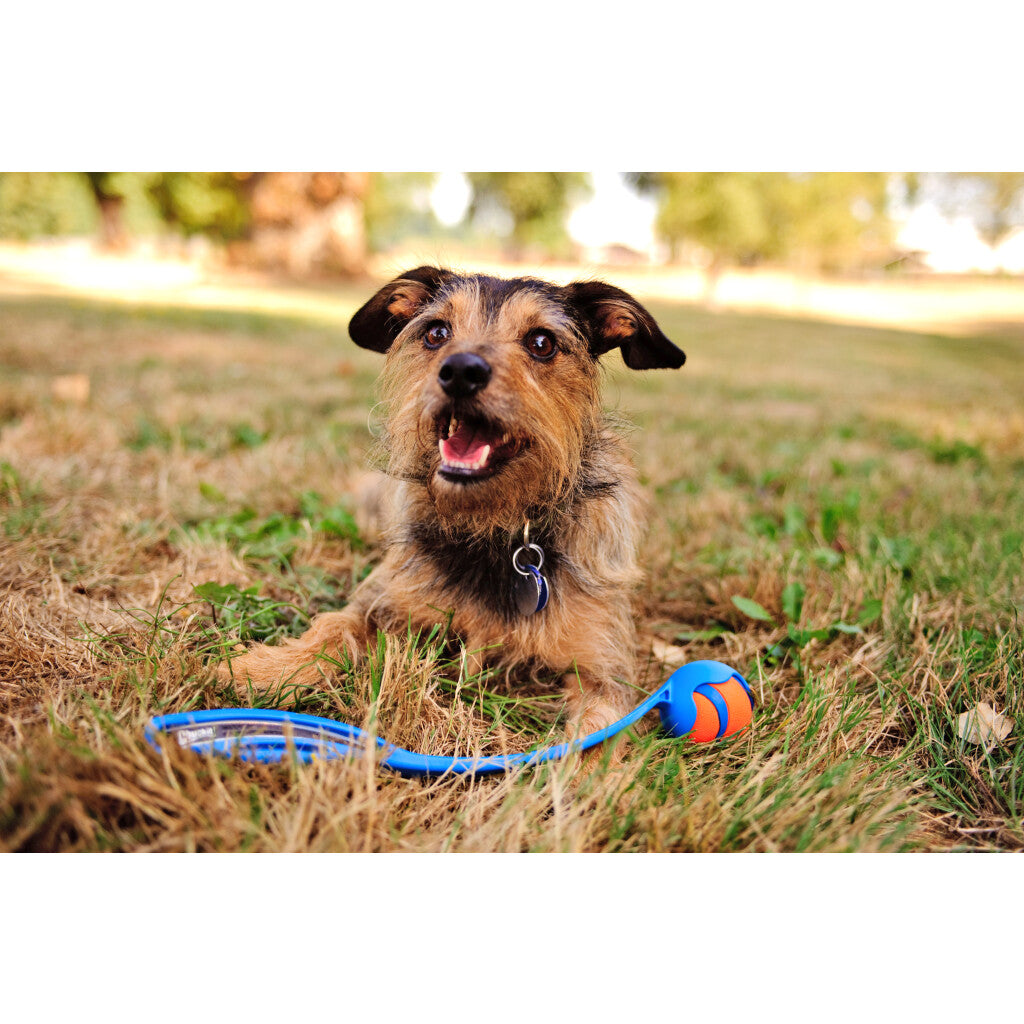 Chuckit! Ultra Ball S (2-pack)