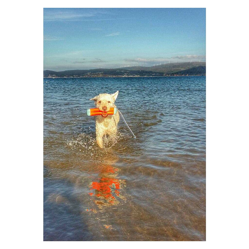 Chuckit! Amphibious Bumper S