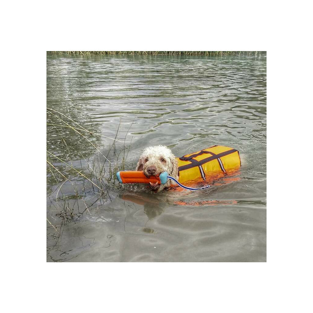 Chuckit! Amphibious Bumper S