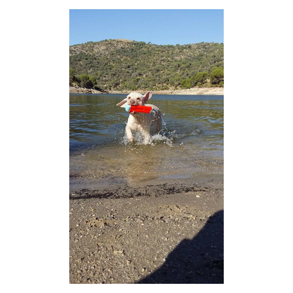 Chuckit! Amphibious Bumper S