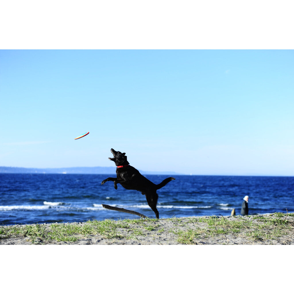 Chuckit! Paraflight S