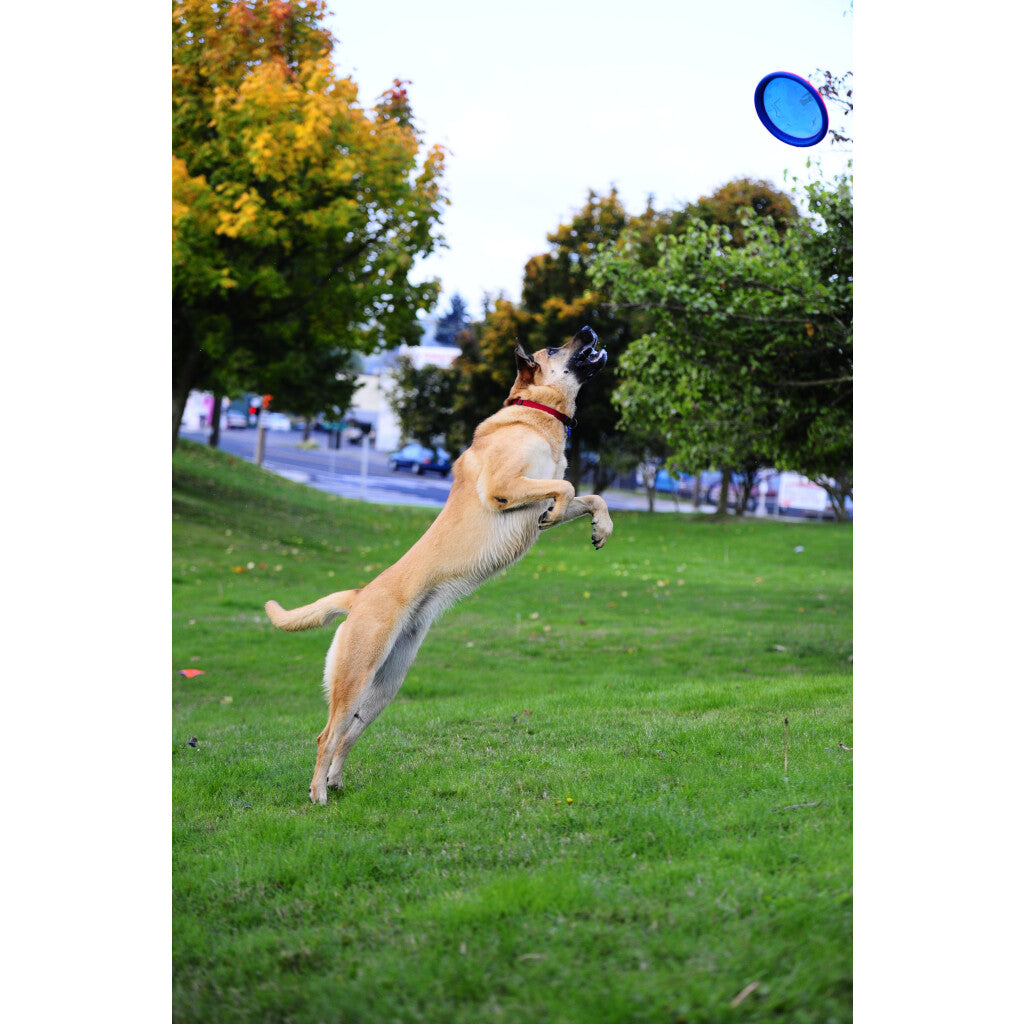 Chuckit! Paraflight S