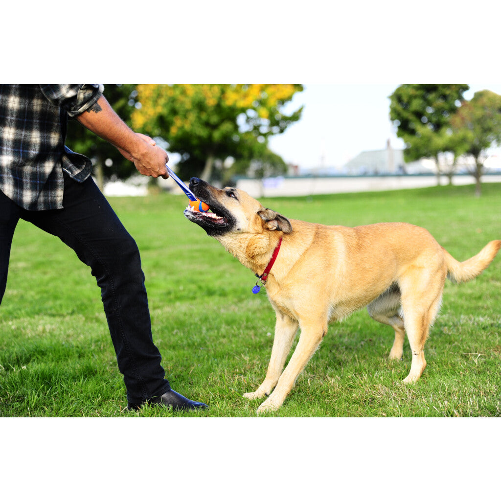 Chuckit! Ultra Tug S