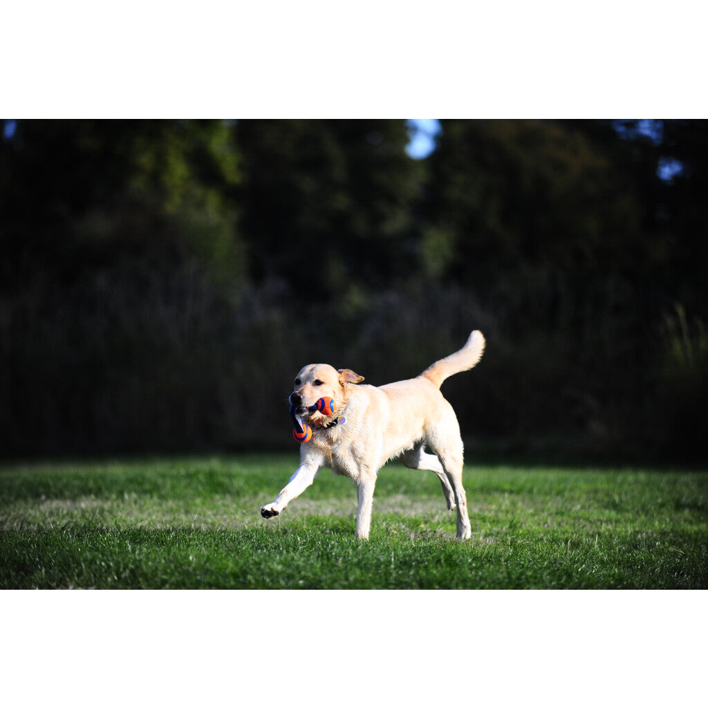 Chuckit! Ultra Duo Tug S