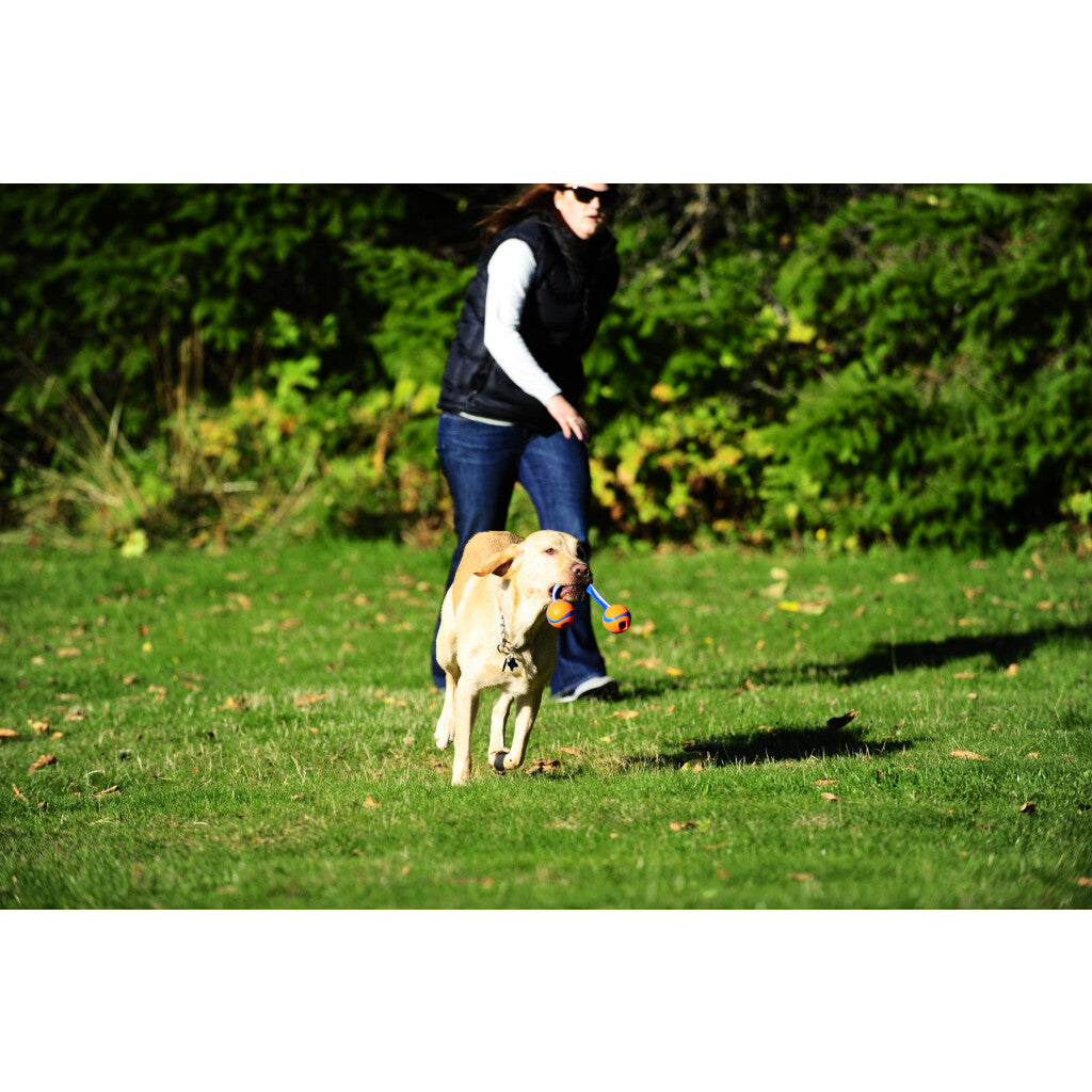 Chuckit! Ultra Duo Tug S