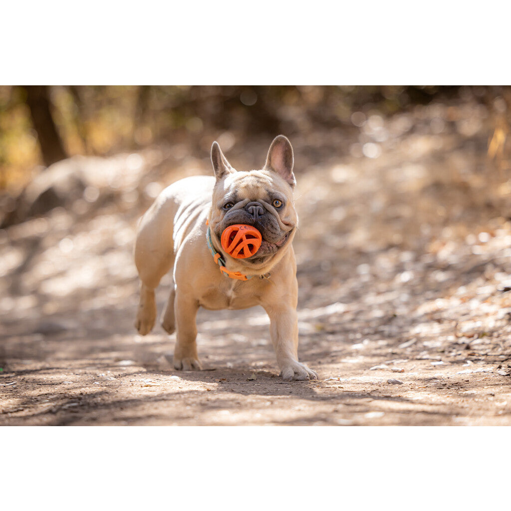 Chuckit! Air Fetch Ball M