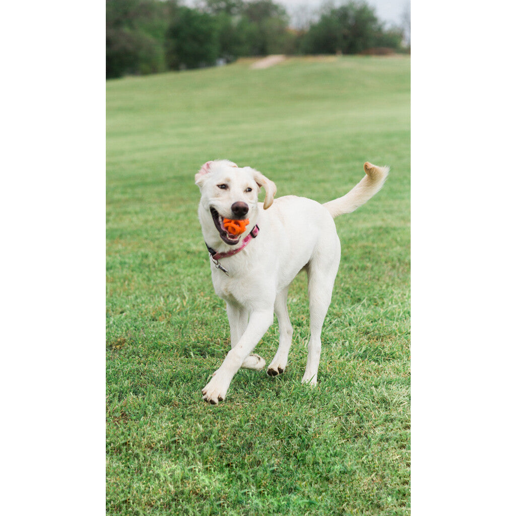 Chuckit! Air Fetch Ball M