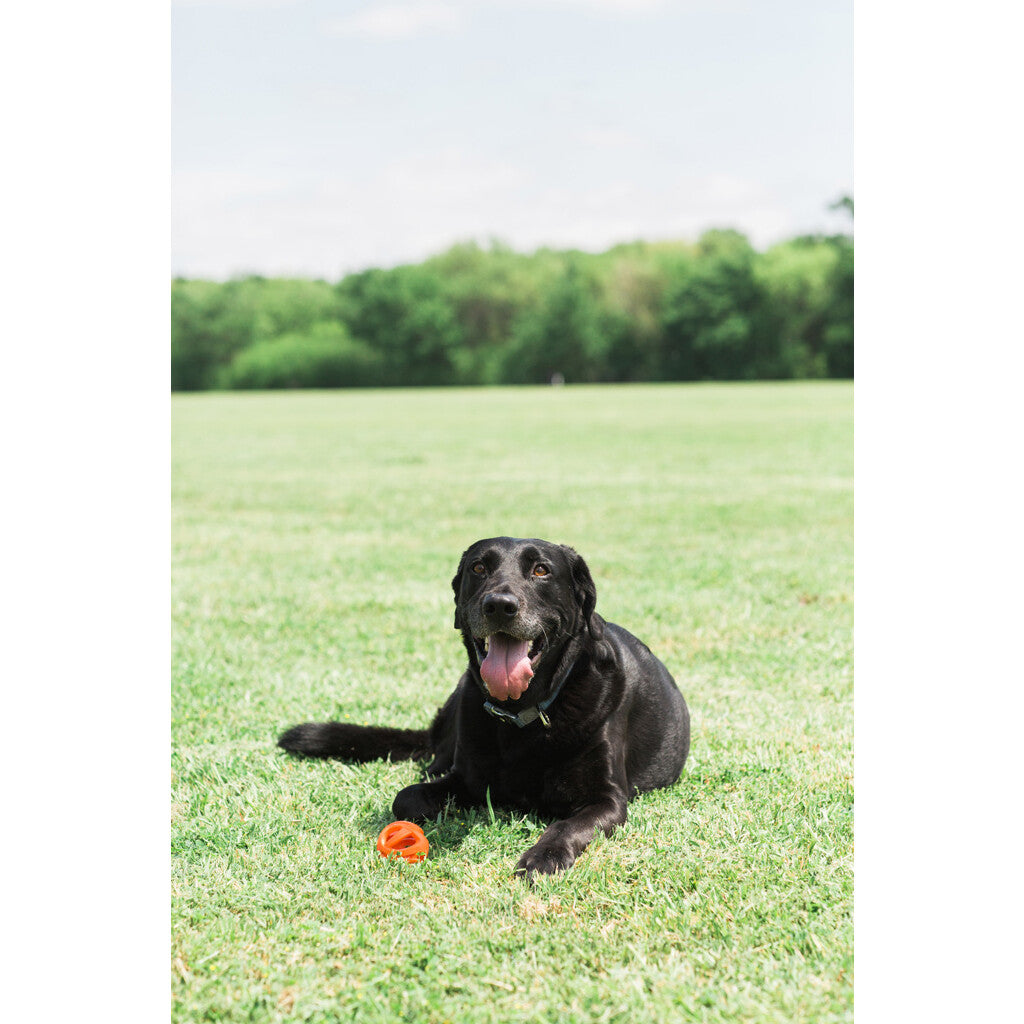 Chuckit! Air Fetch Ball M