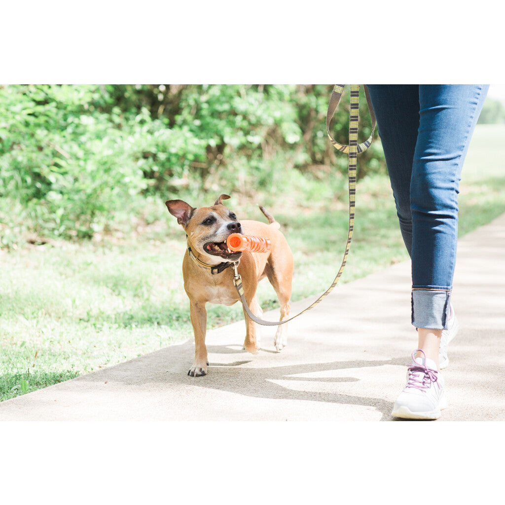 Chuckit! Air Fetch Stick