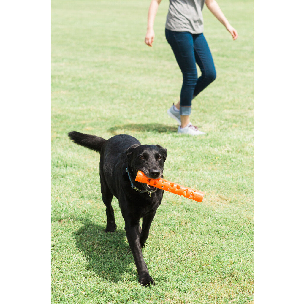 Chuckit! Air Fetch Stick