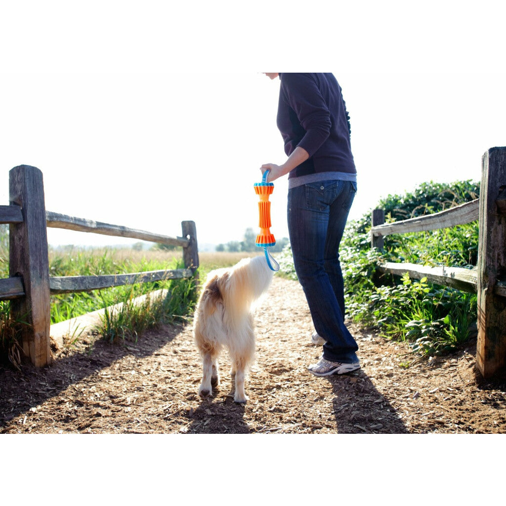 Chuckit! Rugged Bumper L