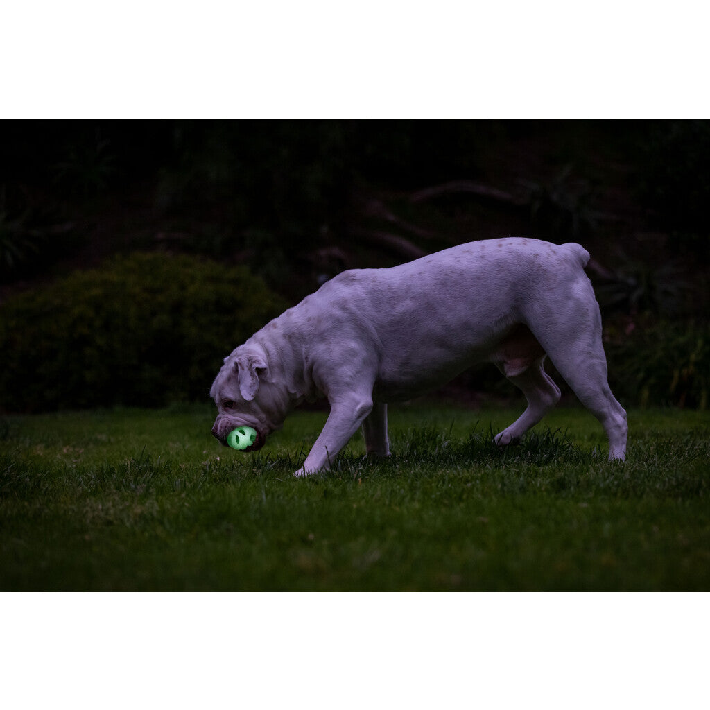 Chuckit! Air Glow Fetch Ball M (2-pack)