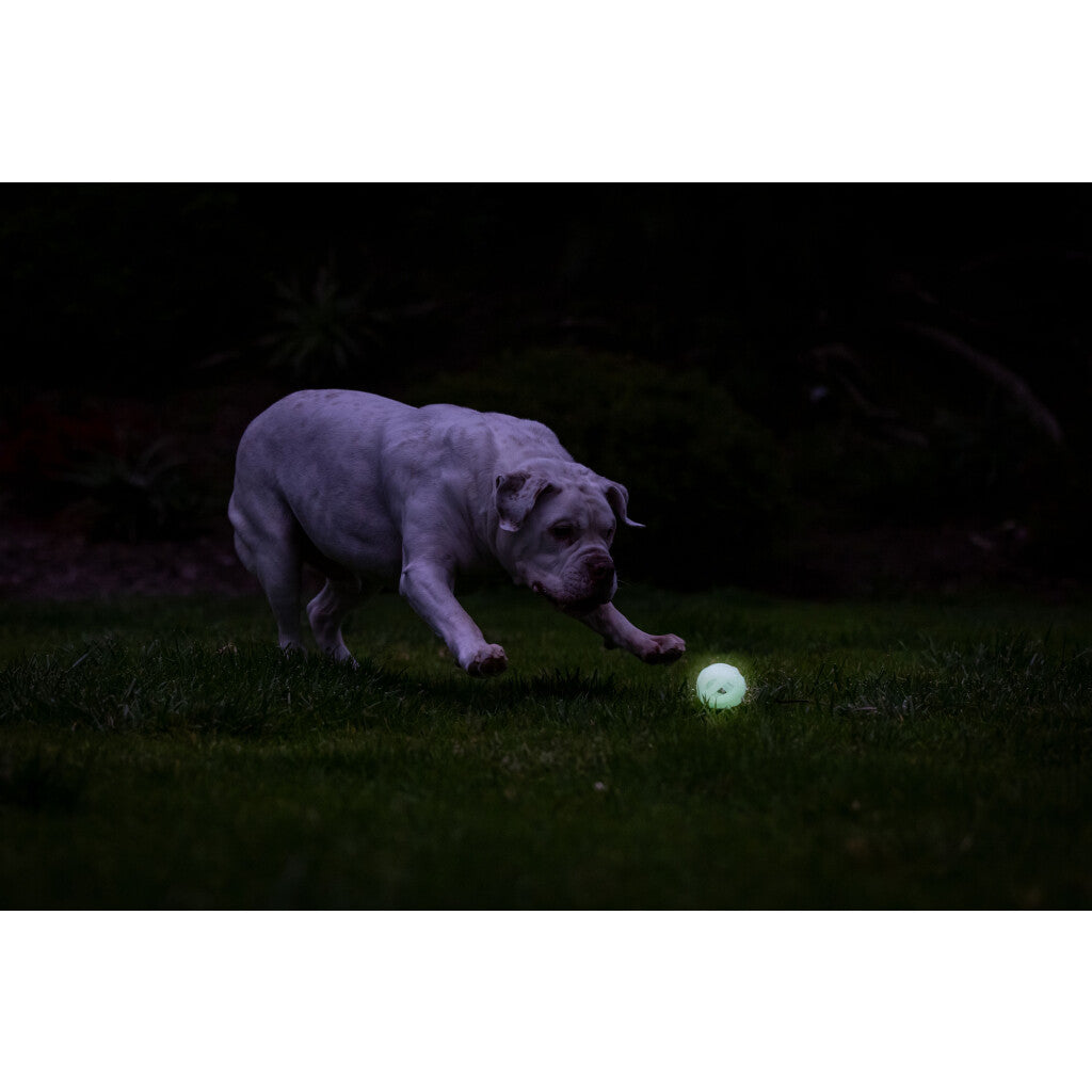 Chuckit! Air Glow Fetch Ball M (2-pack)