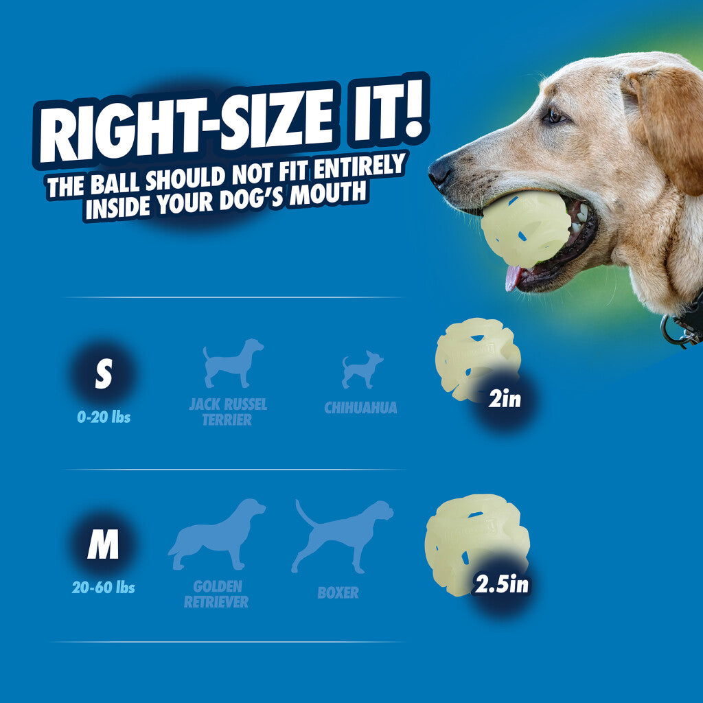 Chuckit! Air Glow Fetch Ball M (2-pack)