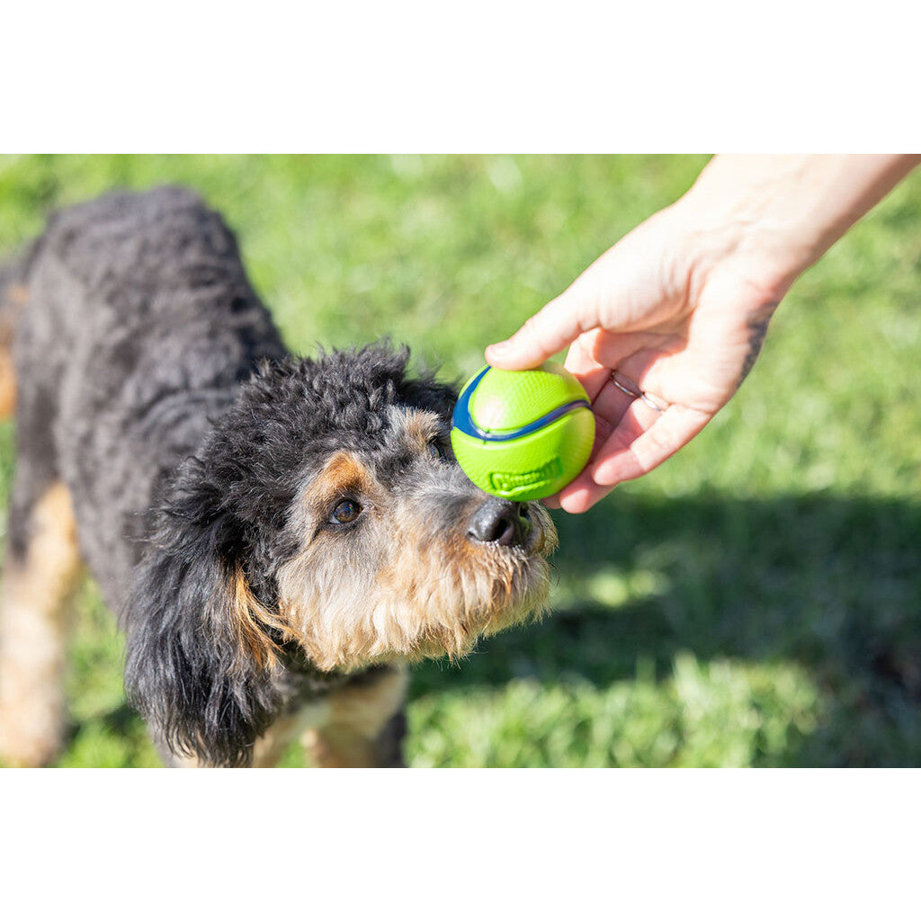 Chuckit! Sniff Fetch Ball Bacon & Peanut Butter M 4-pack