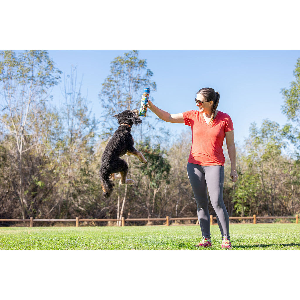 Chuckit! Sniff Fetch Ball Bacon & Peanut Butter M 4-pack