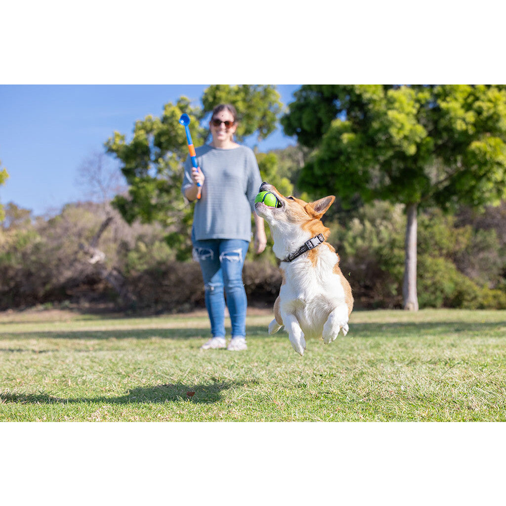 Chuckit! Sniff Fetch Ball Bacon & Peanut Butter M 4-pack