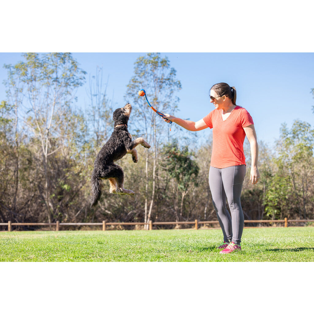 Chuckit! Fetch & Fold Launcher Mini