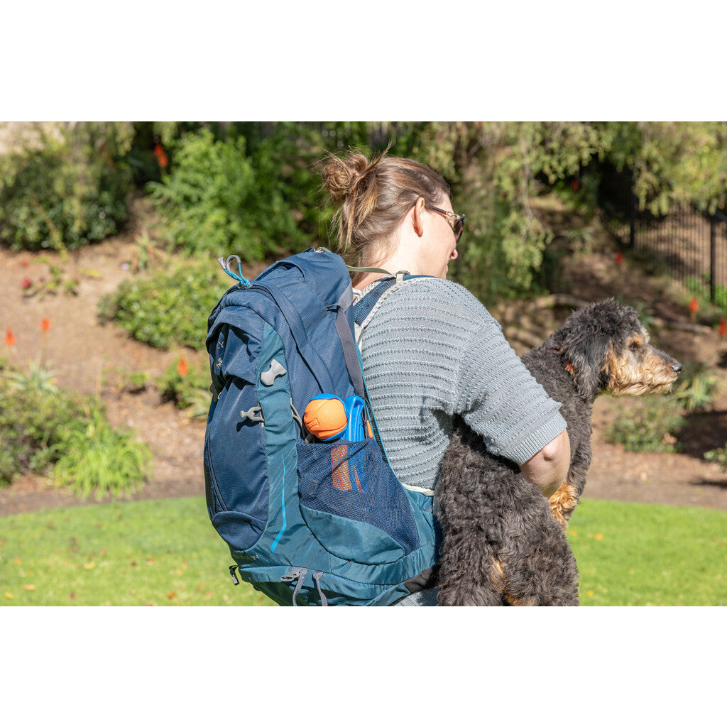 Chuckit! Fetch & Fold Launcher Mini