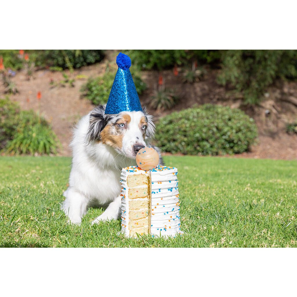 Chuckit! Birthday Fetch Ball M