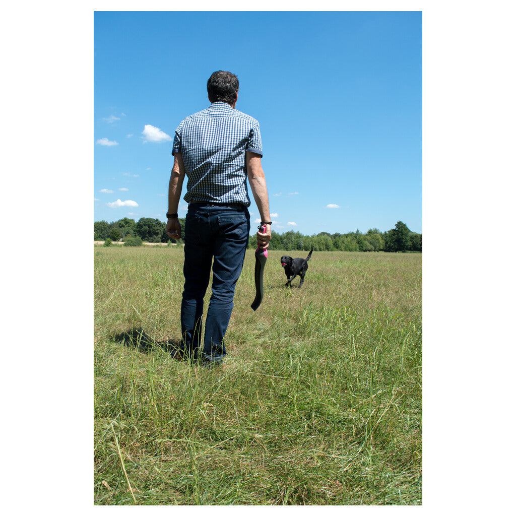 Dog Comets Star Launcher Grün