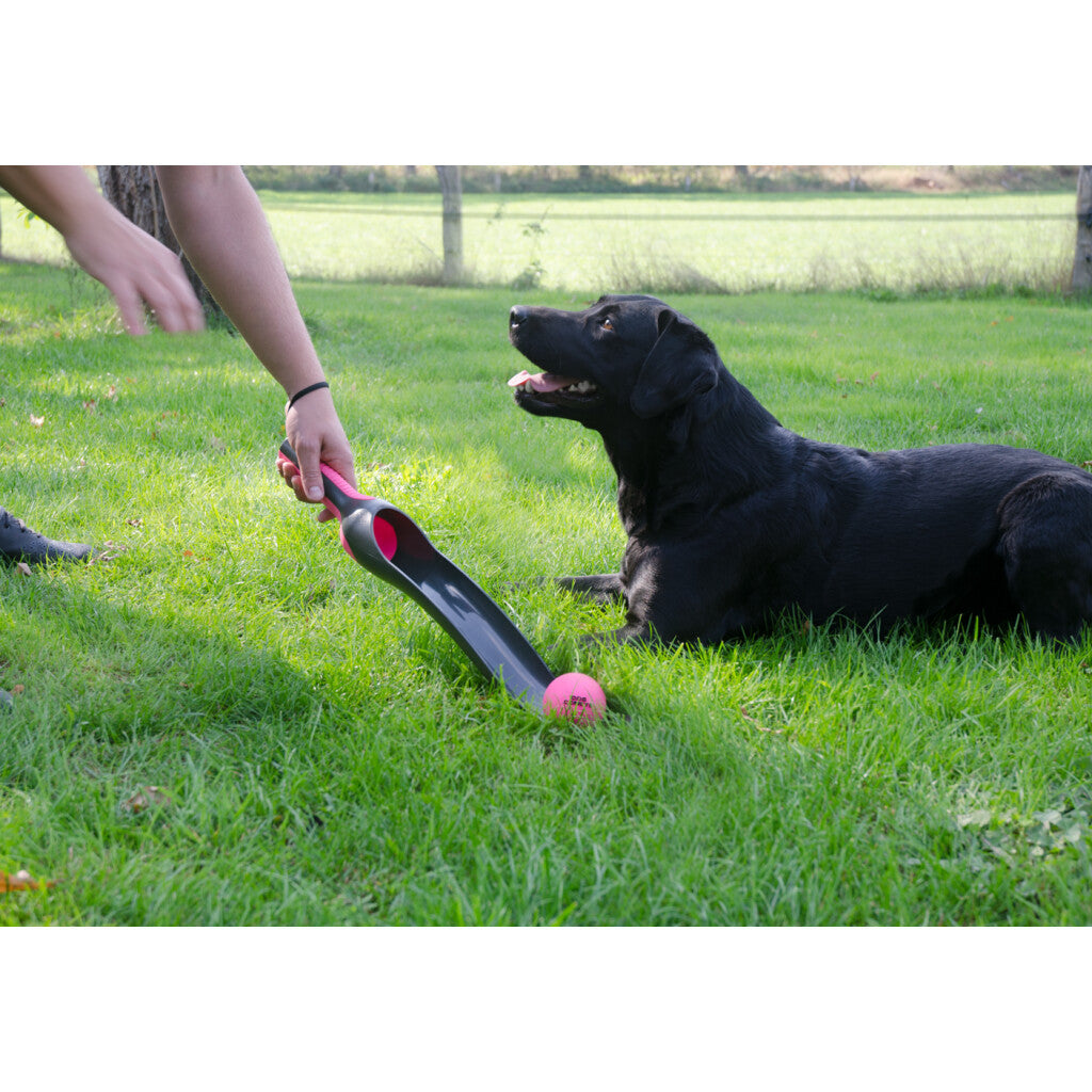 Dog Comets Star Launcher Rosa